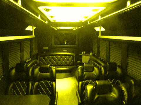 Main Feature