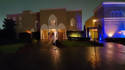 Main Feature