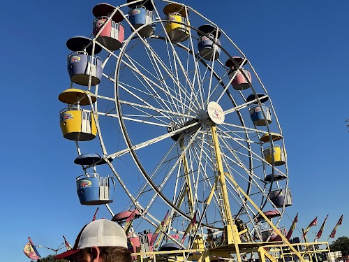 Main Feature