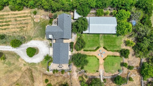 Main Feature