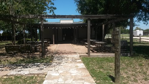 Main Feature