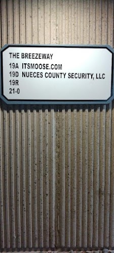 Main Feature