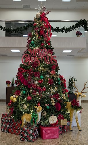 Main Feature