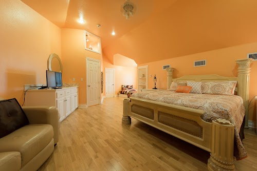Main Feature