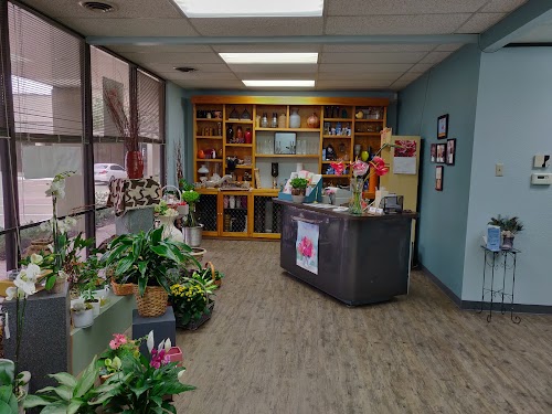 Gallery Image 4