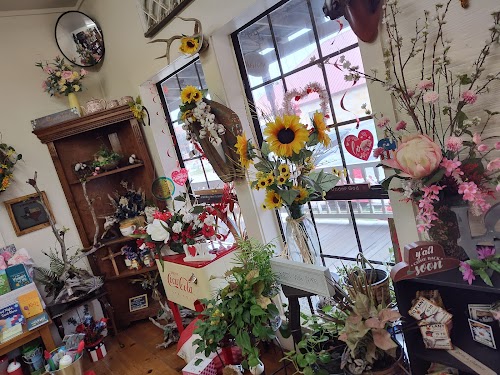 Gallery Image 2