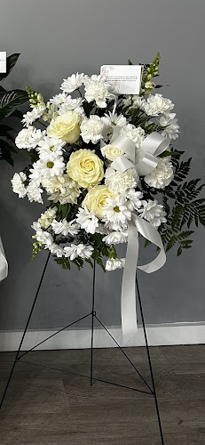Main Feature