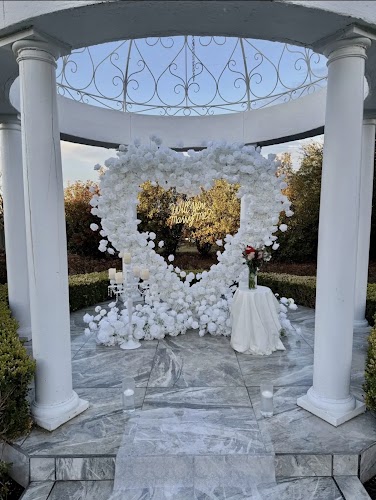 Main Feature