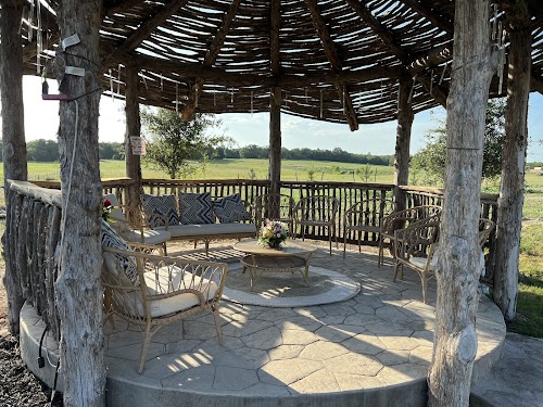 Main Feature
