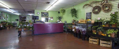 Main Feature