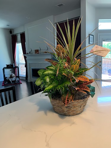 Main Feature